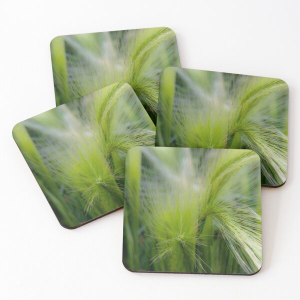 Item preview, Foxtail in macro designed and sold by CanadianWild418.