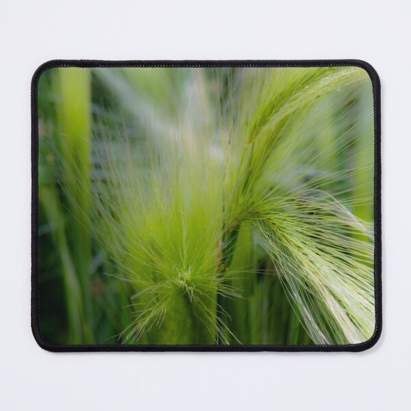 Item preview, Foxtail in macro designed and sold by CanadianWild418.