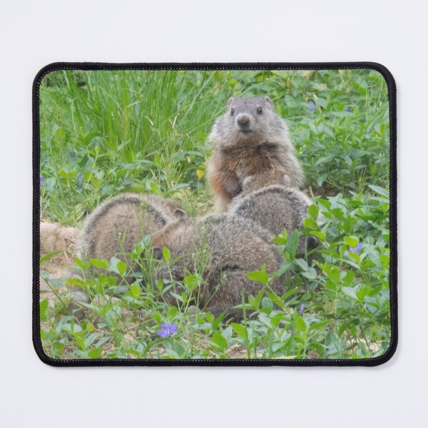 Item preview, Park Hours designed and sold by Burrow-Hall.