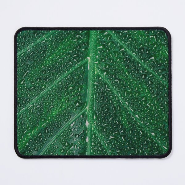 Item preview, Dewy leaf. designed and sold by AbaTiro.