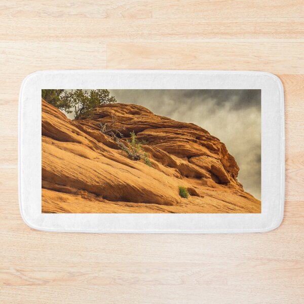 Item preview, Stone Plants Sky designed and sold by Thaddeus Zajdowicz.