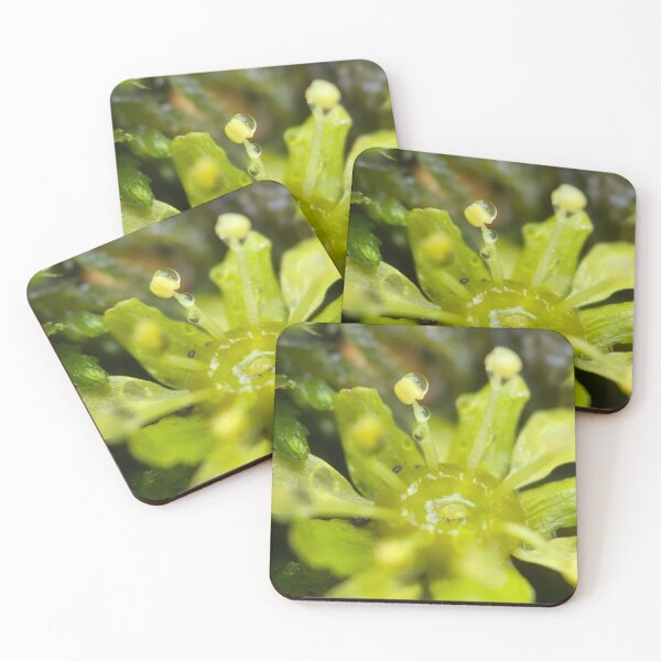 Item preview, Macro Plant Water Droplet designed and sold by Porosenok.