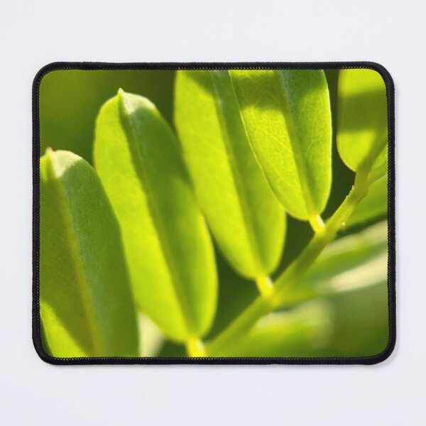 Item preview, Spring Line of Green Leaves designed and sold by Porosenok.