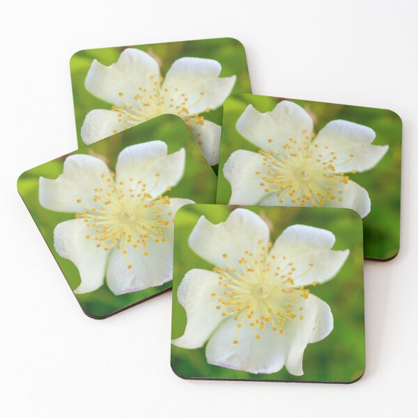 Item preview, Single White Flower designed and sold by Porosenok.