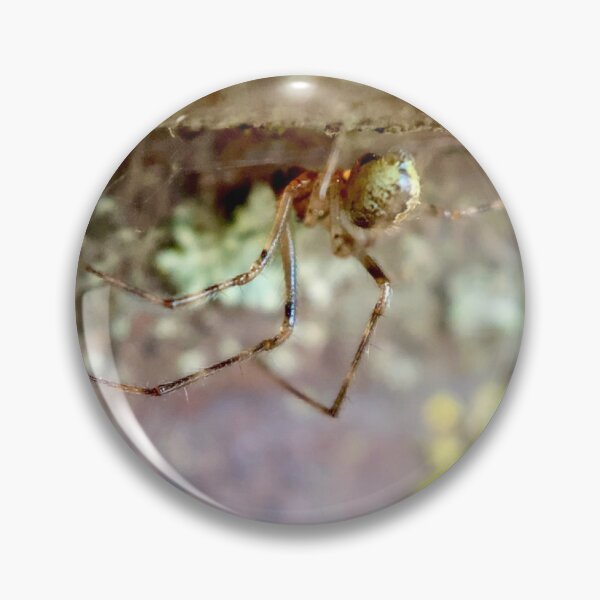 Item preview, Hanging Orchard Spider designed and sold by Porosenok.