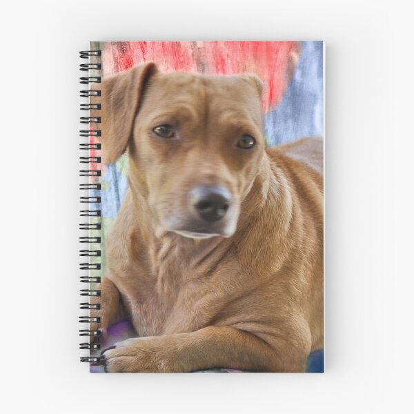 Item preview, Honey Bear in Color designed and sold by michaelasamples.