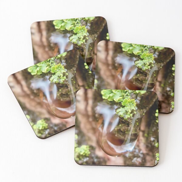 Item preview, Water Droplet and Moss Macro Photo designed and sold by Porosenok.