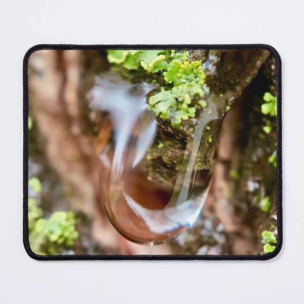 Item preview, Water Droplet and Moss Macro Photo designed and sold by Porosenok.
