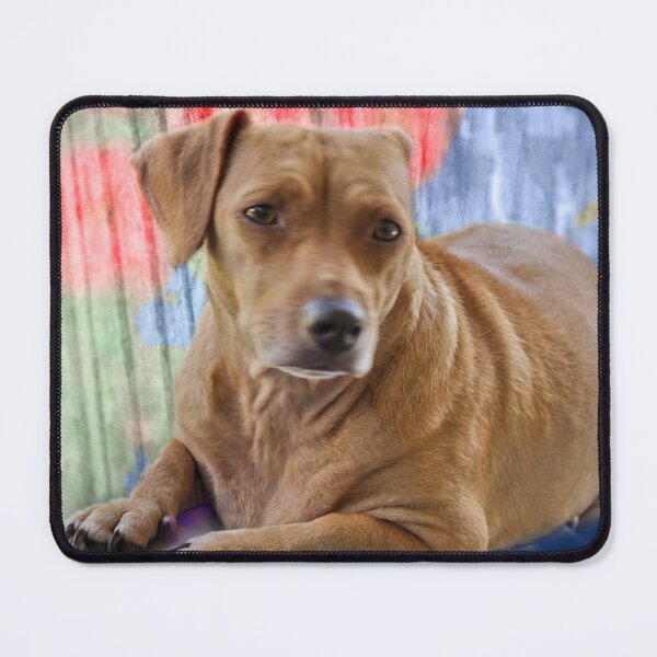 Item preview, Honey Bear in Color designed and sold by michaelasamples.