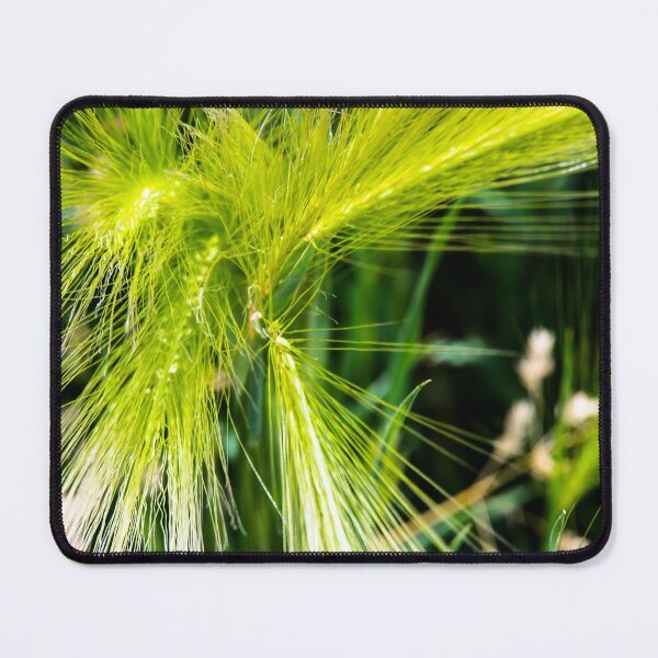 Item preview, Foxtail designed and sold by CanadianWild418.