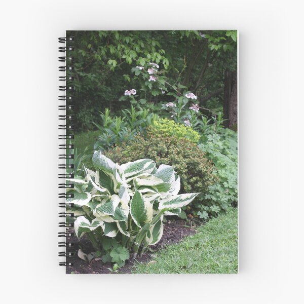 Item preview, Herbaceous Border with Mixed Planting designed and sold by susanellen.