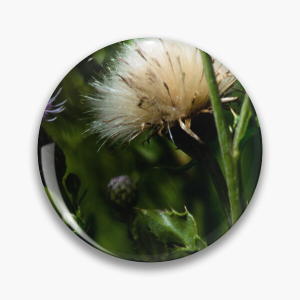 Artikelvorschau, Distel entworfen und verkauft von CanadianWild418.
