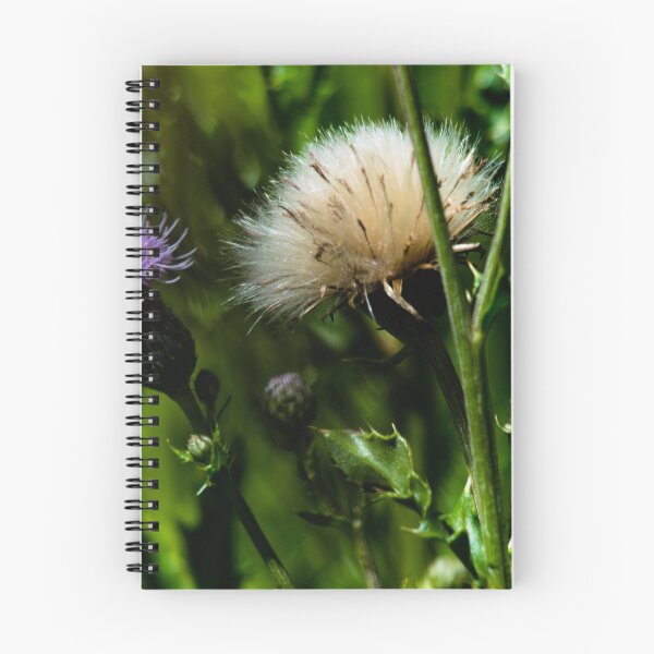 Item preview, Thistle designed and sold by CanadianWild418.