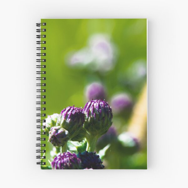 Item preview, Close up of a thistle designed and sold by CanadianWild418.