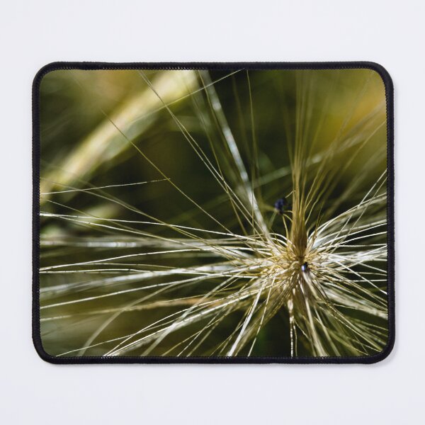 Item preview, Wild foxtail designed and sold by CanadianWild418.