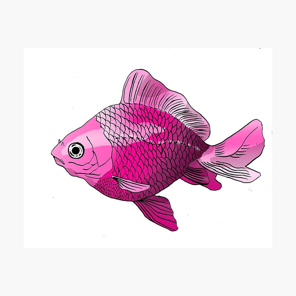 Pink Fish Pink Fish
