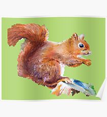 Red Squirrel on a tree stump Poster