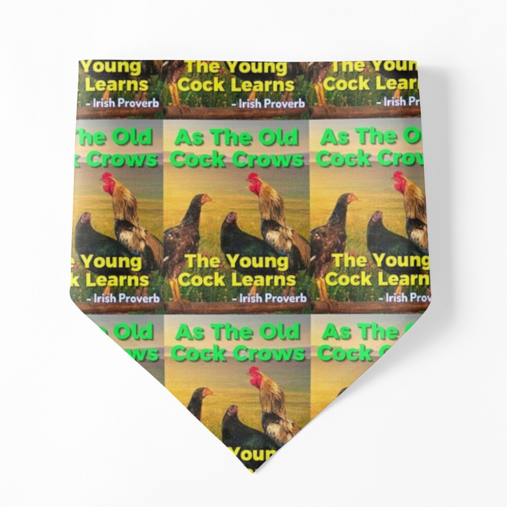 Irish Proverb - As The Old Cock Crows The Young Cock Learns