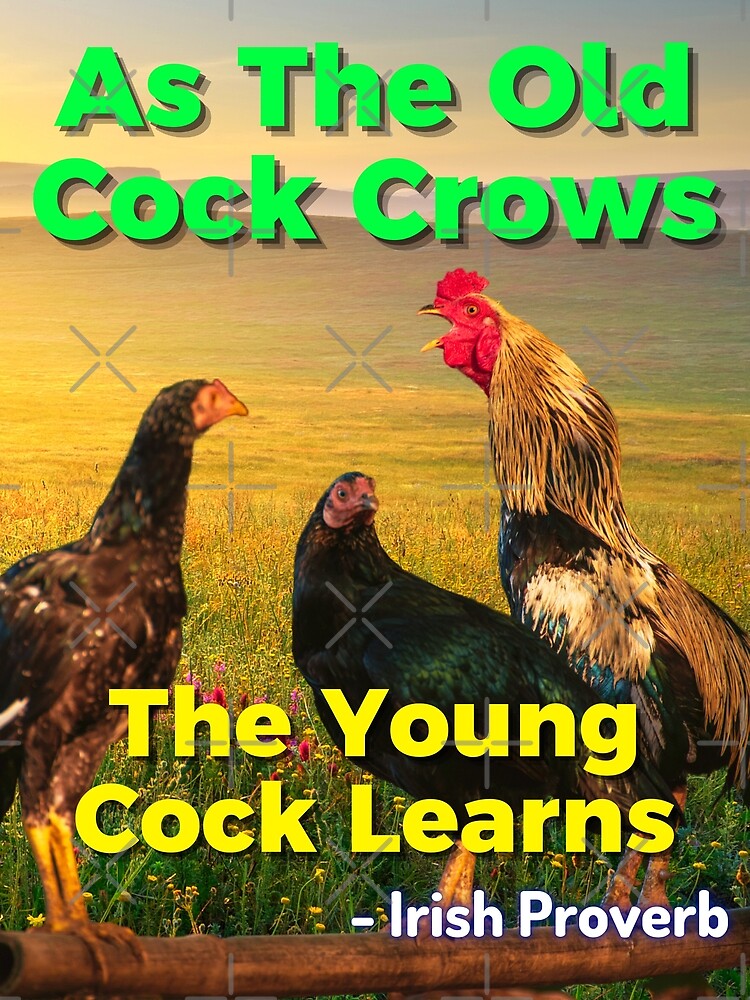 Irish Proverb As The Old Cock Crows The Young Cock Learns Poster For Sale By Irishproverbs 9716