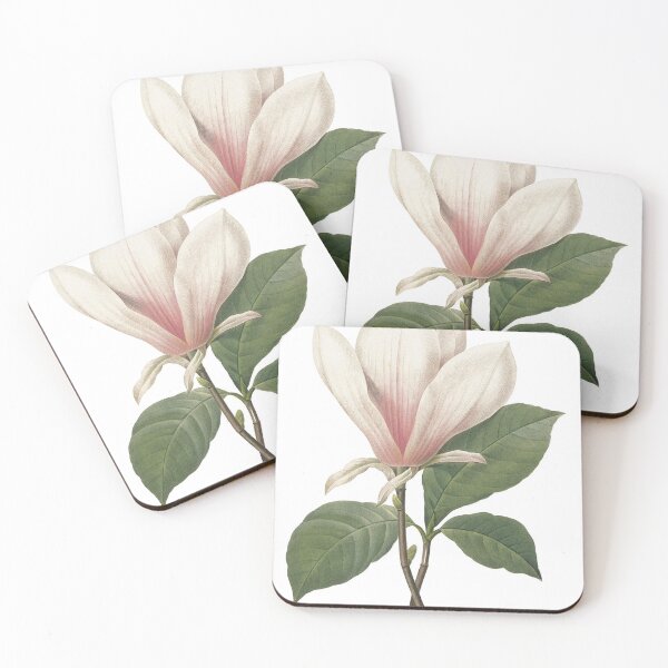 Item preview, Vintage botanical art, elegant  magnolia flower. designed and sold by naturematters.