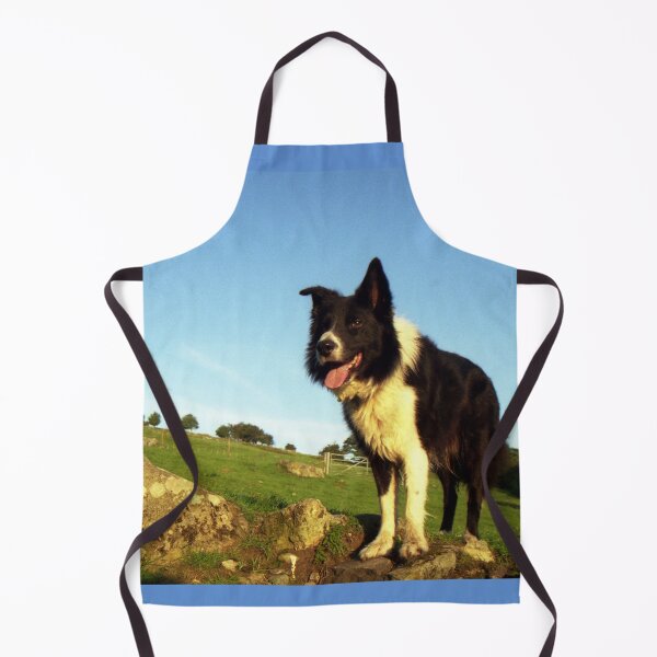 Item preview, Indy designed and sold by Michael Haslam.