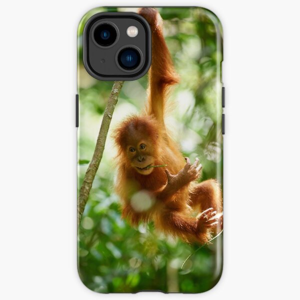 Orangutang Gifts Merchandise for | Redbubble