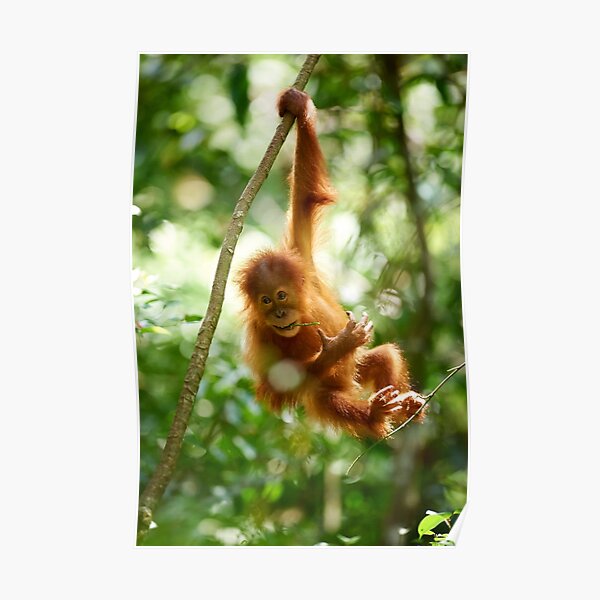Hangin' Out Poster
