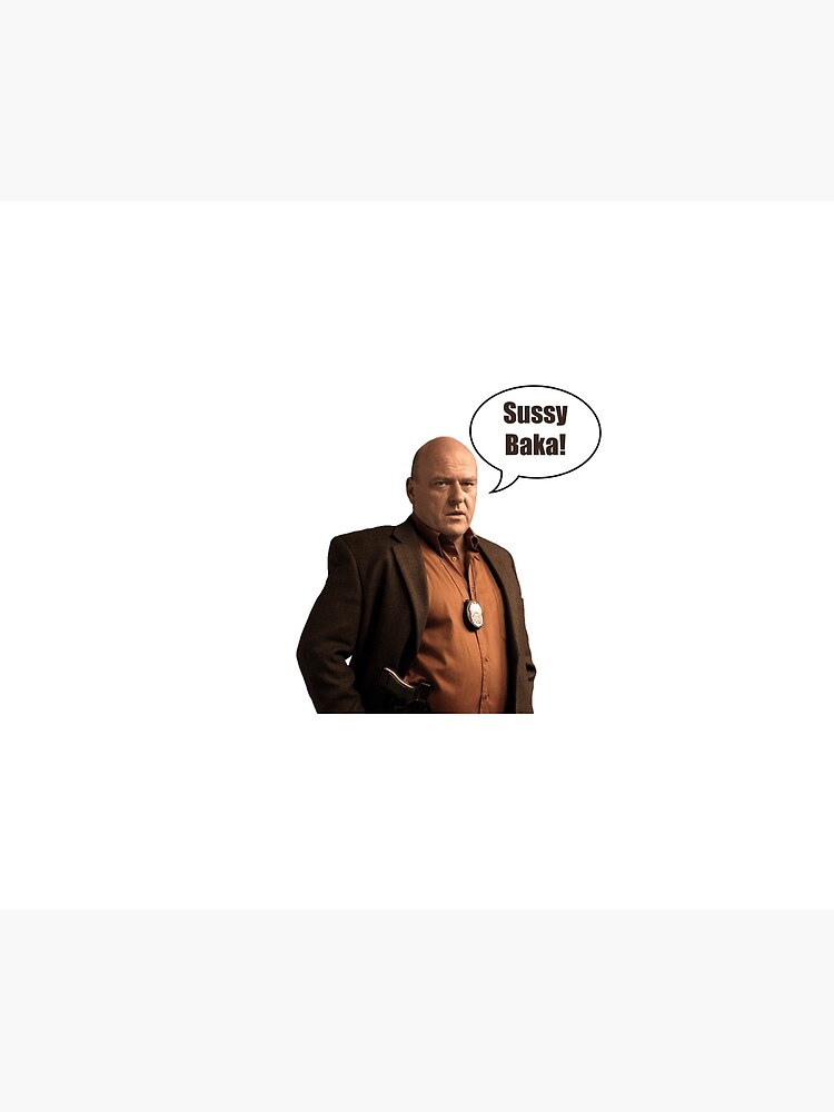 Hank Schrader Sussy Baka Throw Blanket For Sale By Myweapon Redbubble