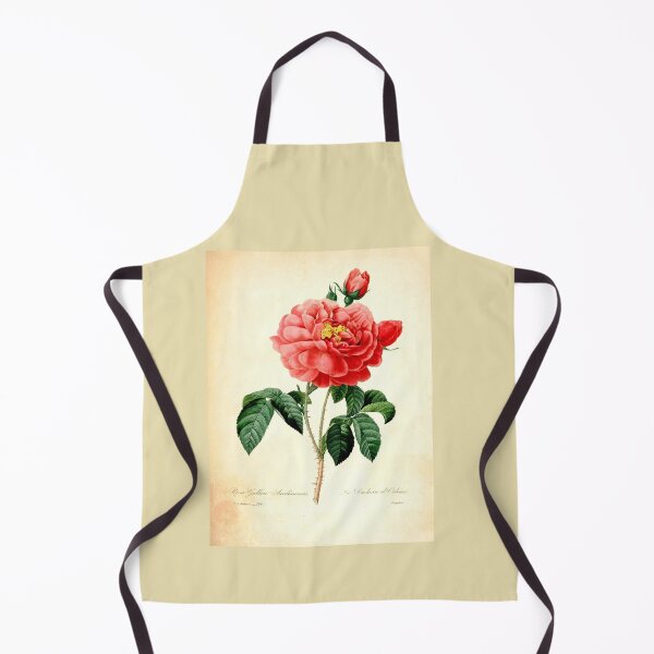 Aperçu de l'œuvre Art botanique vintage, fleur rose rouge. Redoute créée et vendue par naturematters.
