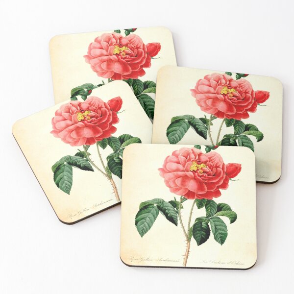Item preview, Vintage botanical art, red rose flower. Redoute designed and sold by naturematters.