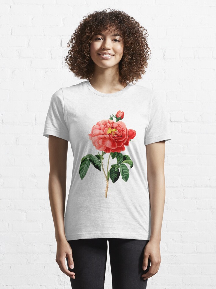 Vintage botanical art, red rose flower. Redoute | Essential T-Shirt