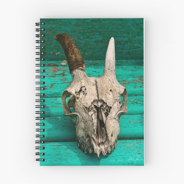 Item preview, Skull and Cracked Paint designed and sold by johnlackphotos.