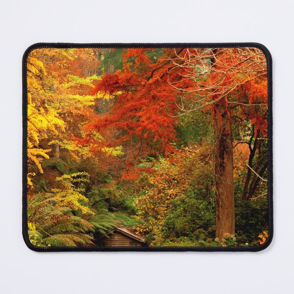 Item preview, Autumn in the Dandenongs designed and sold by margotk.