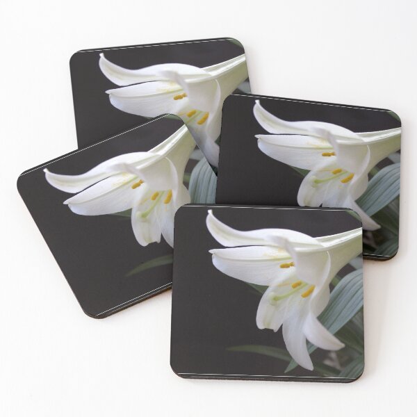 Item preview, Pure white Easter lily flower in frame. Floral photo art.  designed and sold by naturematters.