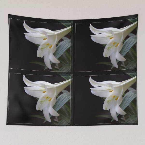 Item preview, Pure white Easter lily flower in frame. Floral photo art.  designed and sold by naturematters.