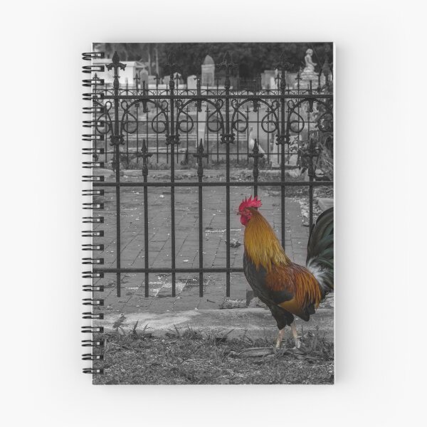 Item preview, Key west cemetery rooster designed and sold by johnlackphotos.