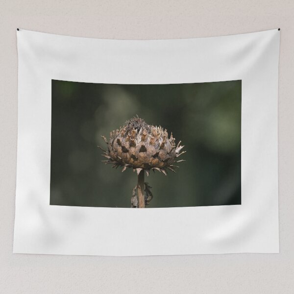Item preview, Seed Head of Globe Artichoke designed and sold by Sue Robinson.