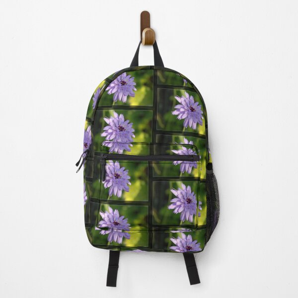 Item preview, Purple daisy flower in frame. Floral nature garden photography. designed and sold by naturematters.