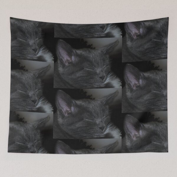 Item preview, Cat Napping designed and sold by michaelasamples.