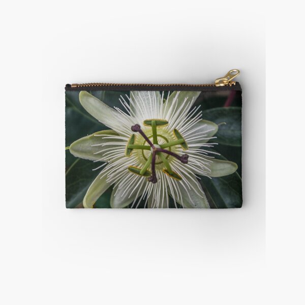 Item preview, White Passion Flower designed and sold by StephanieKnotts.