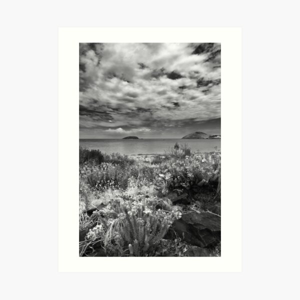 Encounter Bay, South Australia Art Print