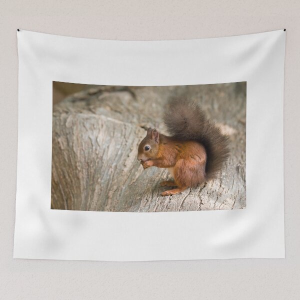 Item preview, Red Squirrel on Log designed and sold by Sue Robinson.