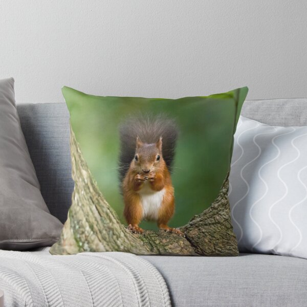 Item preview, Red Squirrel in Tree designed and sold by Sue Robinson.