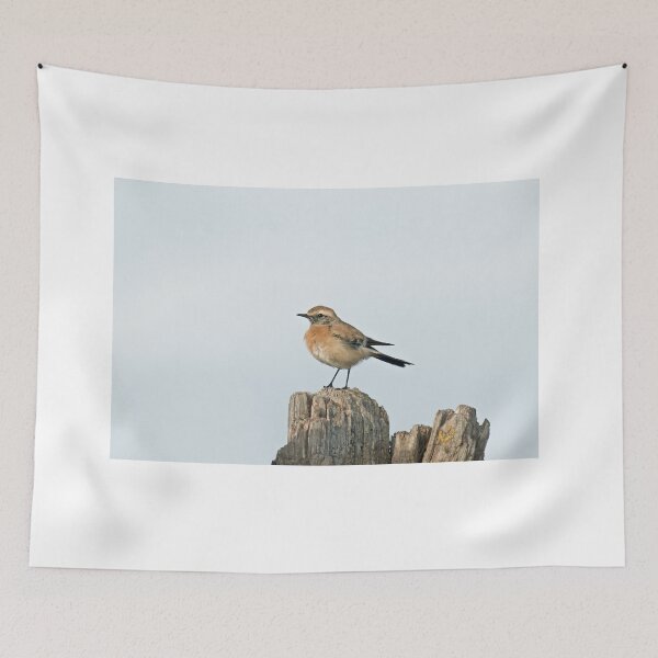 Item preview, Desert Wheatear designed and sold by Sue Robinson.