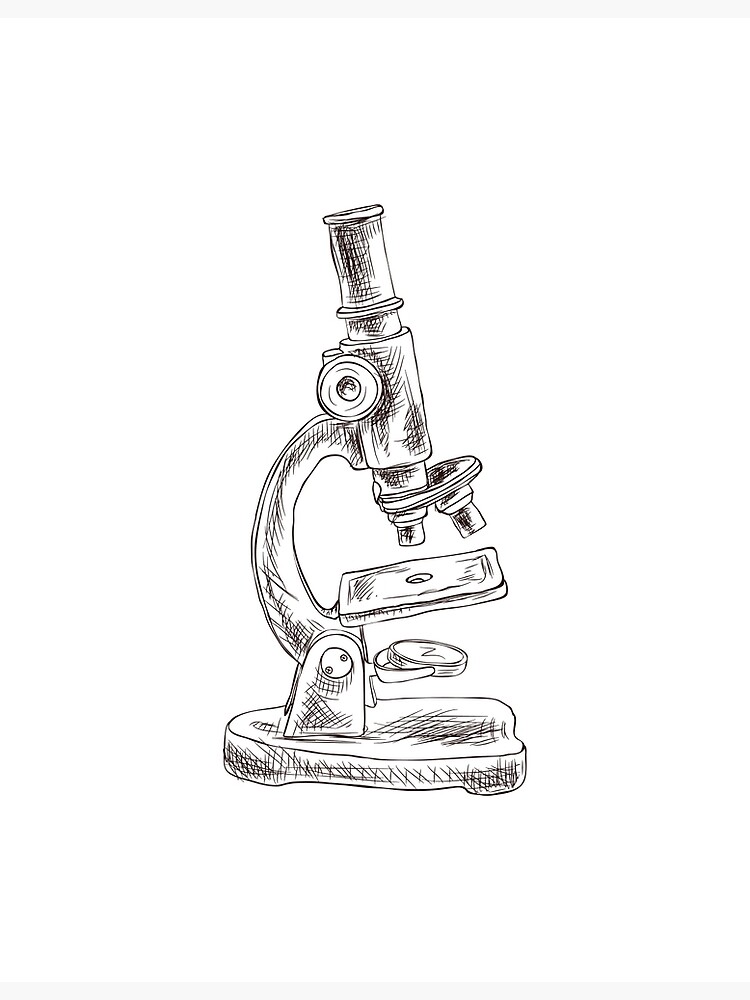 SOLVED: Can someone send me a detailed diagram of this compound microscope  made by pencil on paper, with all the necessary labels and names written  around it? Please include the name Md
