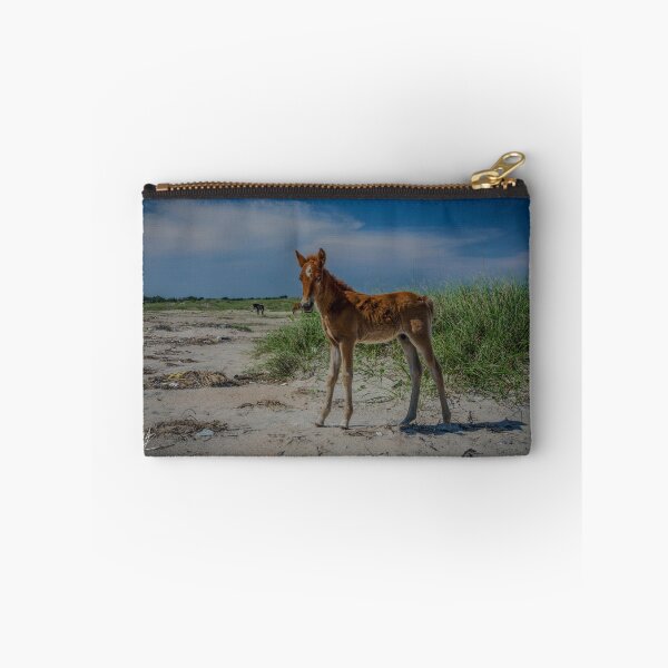 Item preview, Foal Wild Horses Shackleford Banks designed and sold by johnlackphotos.