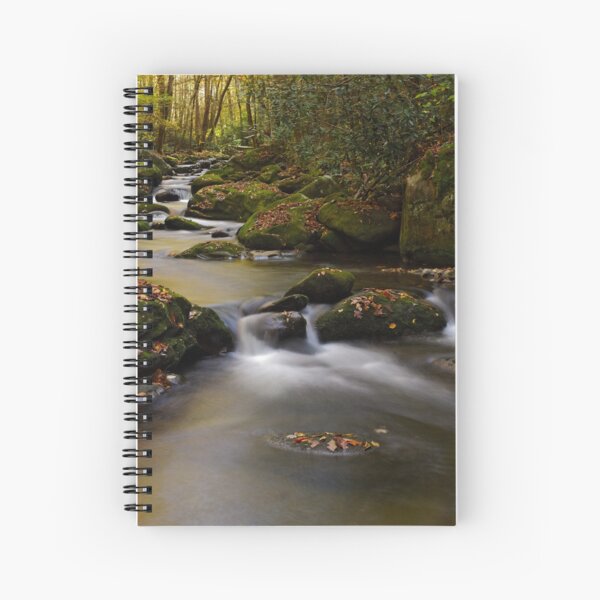 Stairsteps II Spiral Notebook