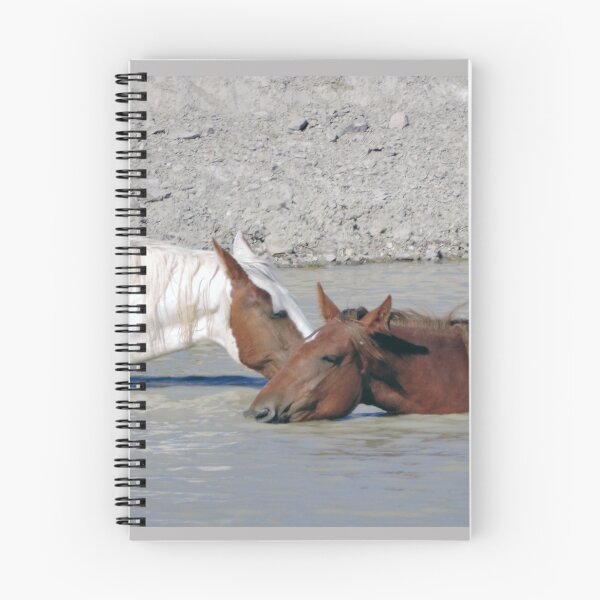 Item preview, Five O'clock in Sand Wash Basin designed and sold by WildHerdz.