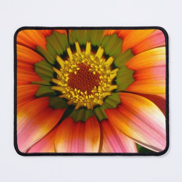 Item preview, Gazania designed and sold by Marilyn Harris.