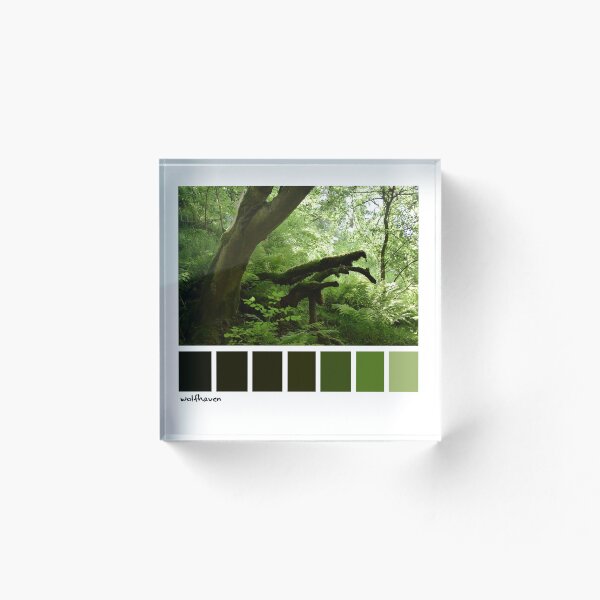 Item preview, Old woodland colours designed and sold by NativeWerewolf.